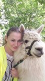 Alpaca Farm Experience
