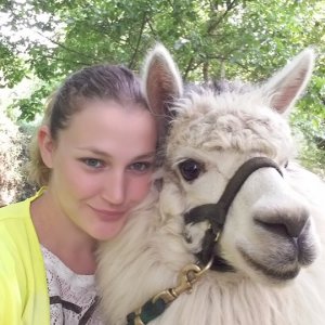 Alpaca Farm Experience