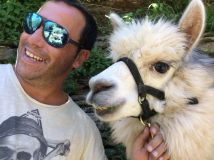 Alpaca Farm Experience