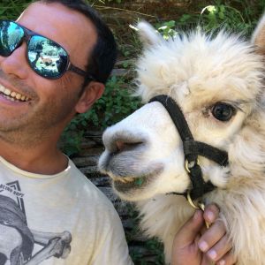 Alpaca Farm Experience