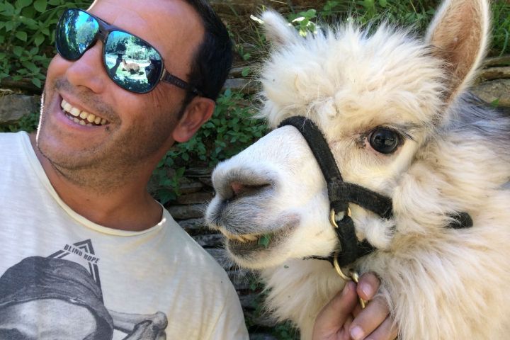 Alpaca Farm Experience
