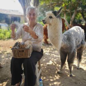 Alpaca Farm Experience
