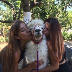 Alpaca Farm Experience