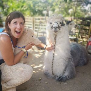 Alpaca Farm Experience