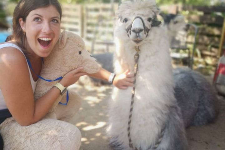 Alpaca Farm Experience