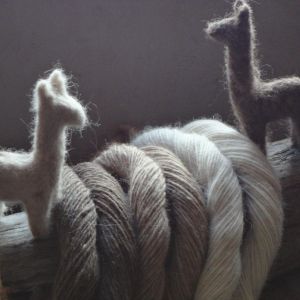 Alpaca Farm Experience