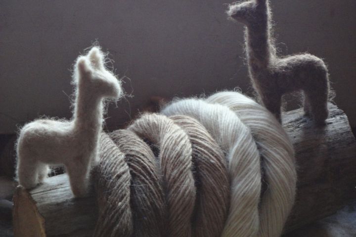 Alpaca Farm Experience