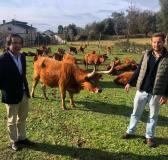 Barrosã Breed Tour