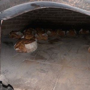 Bread making tour sintra