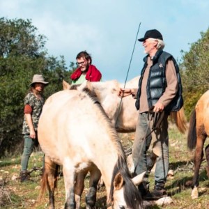 Horse walk tour in lagos