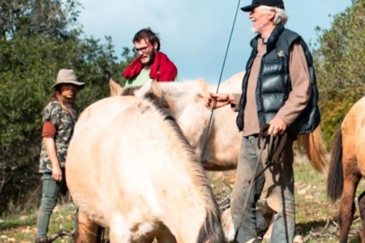 Horse walk tour in lagos