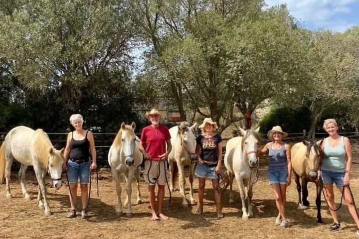 Horse walk tour in lagos