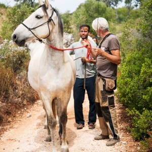 Horse walk tour in lagos