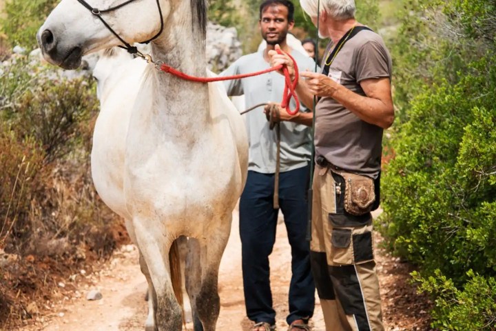 Horse walk tour in lagos
