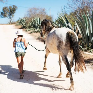 Horse walk tour in lagos