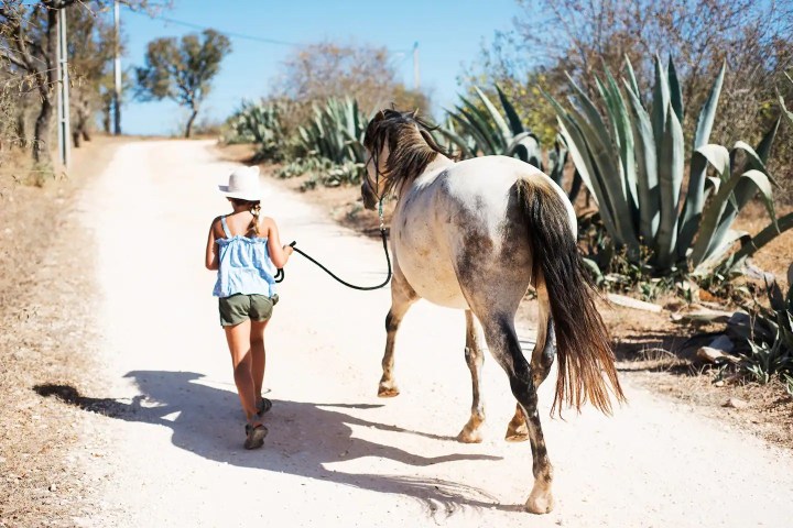 Horse walk tour in lagos