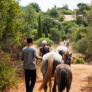 Horse walk tour in lagos