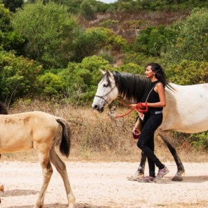 Horse walk tour in lagos