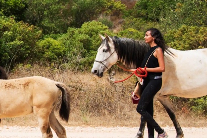 Horse walk tour in lagos