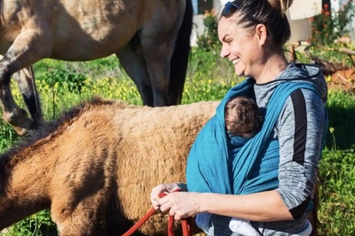 Horse walk tour in lagos