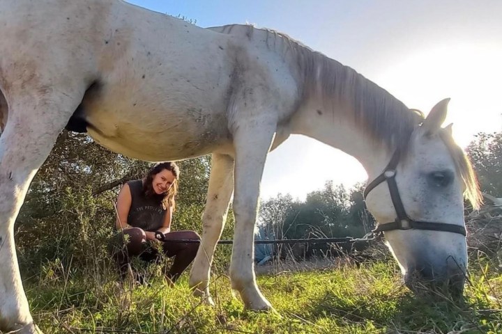 Horse walk tour in lagos
