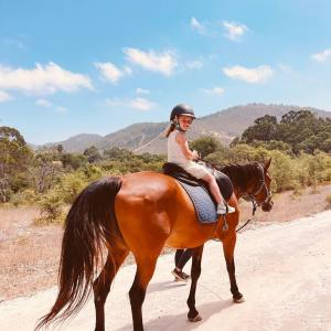 Horseback riding Tour