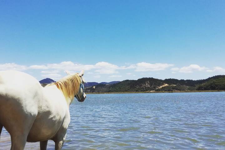 Horseback riding Tour