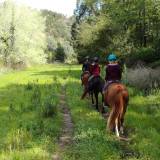 Horseback riding Tour