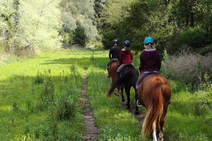 Horseback riding Tour