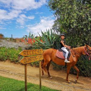 Horseback riding Tour