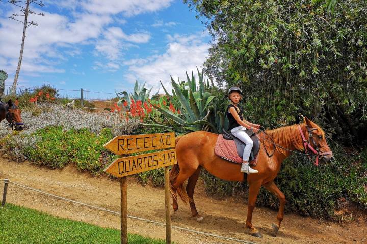Horseback riding Tour
