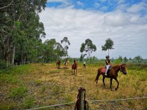 Horseback riding Tour
