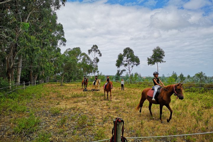 Horseback riding Tour