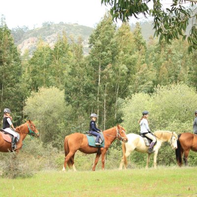 Horseback riding Tour