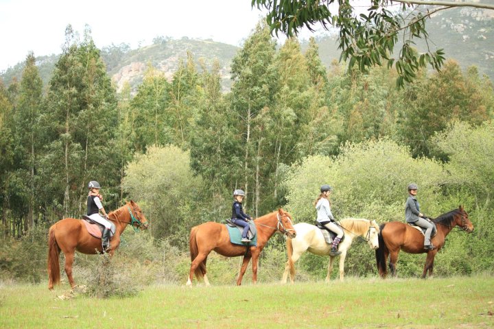 Horseback riding Tour