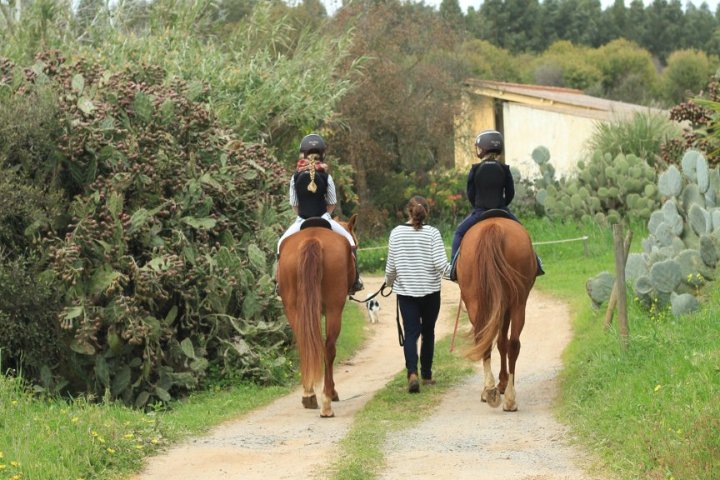 Horseback riding Tour