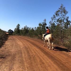 Horseback riding Tour