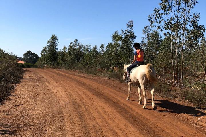 Horseback riding Tour