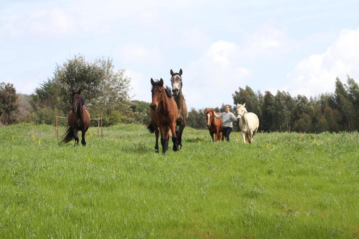 Horseback riding Tour