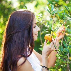 Orange Picking tour