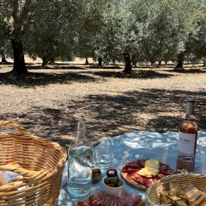 Olive Oil Farm Picnic