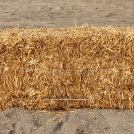 Hay Harvest Experience