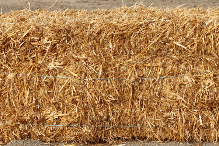 Hay Harvest Experience