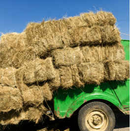 Hay Harvest Experience