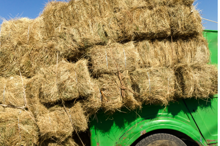 Hay Harvest Experience