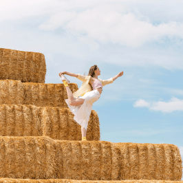 Hay Harvest Experience