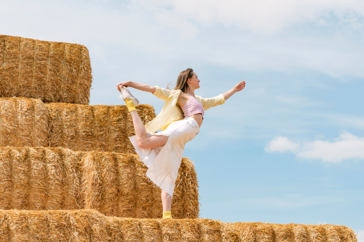 Hay Harvest Experience