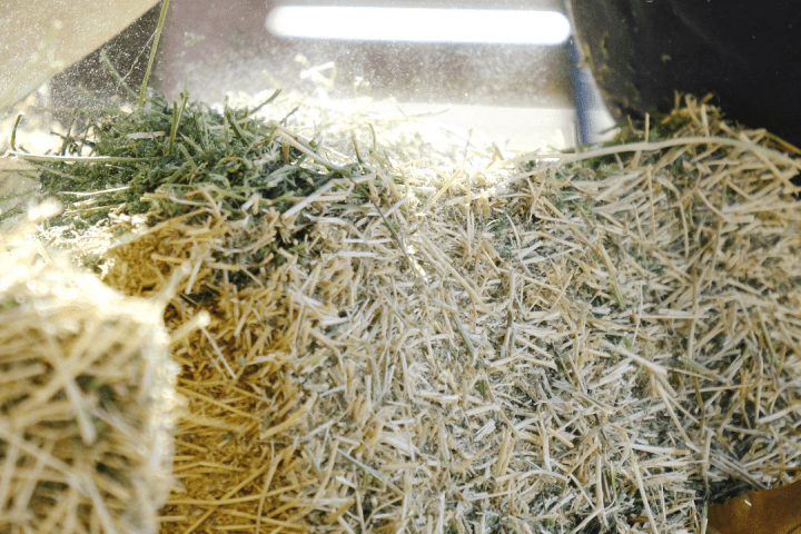 Hay Harvest Experience