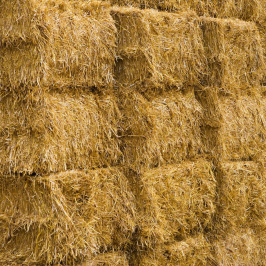 Hay Harvest Experience