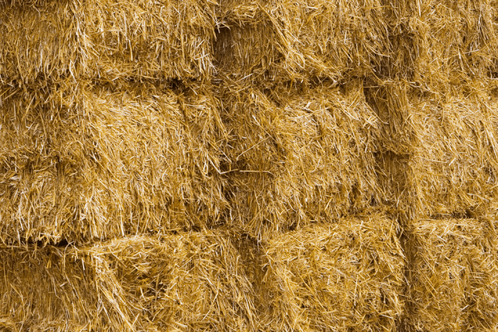 Hay Harvest Experience